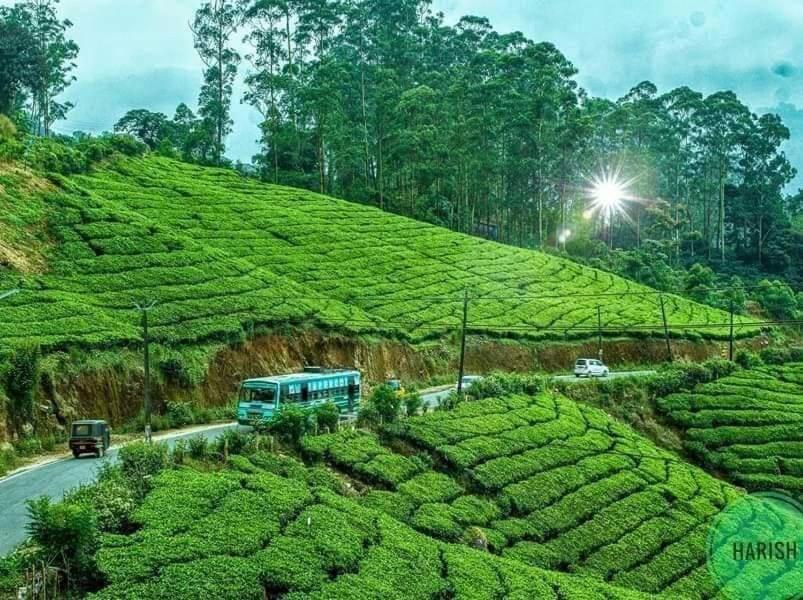 Munnar Tent Hills Resort Devikolam Kültér fotó