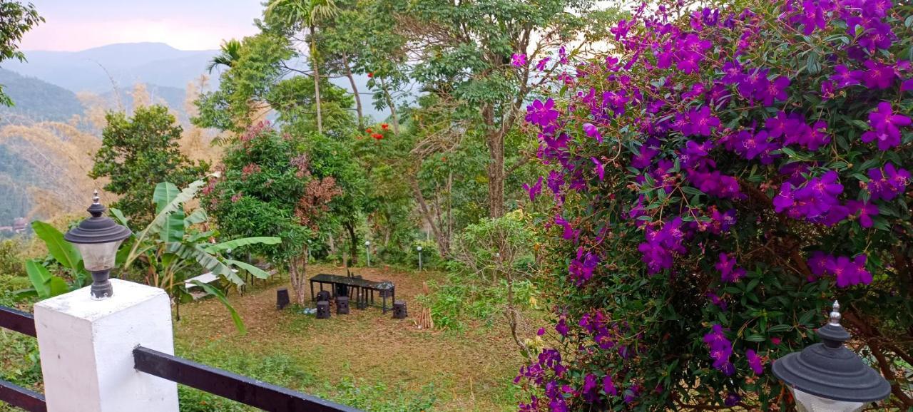 Munnar Tent Hills Resort Devikolam Kültér fotó