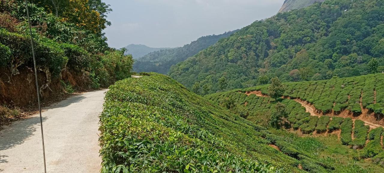 Munnar Tent Hills Resort Devikolam Kültér fotó